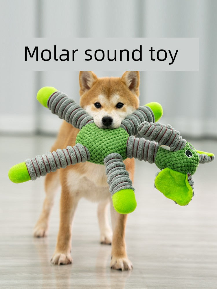 Teddy Medium Large Dog Corgi Educational Pet Dog