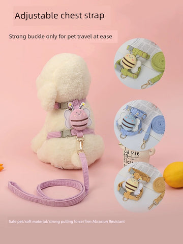 Teddy Schnauzer Chest-Back Bichon Dog Hand Holding Rope